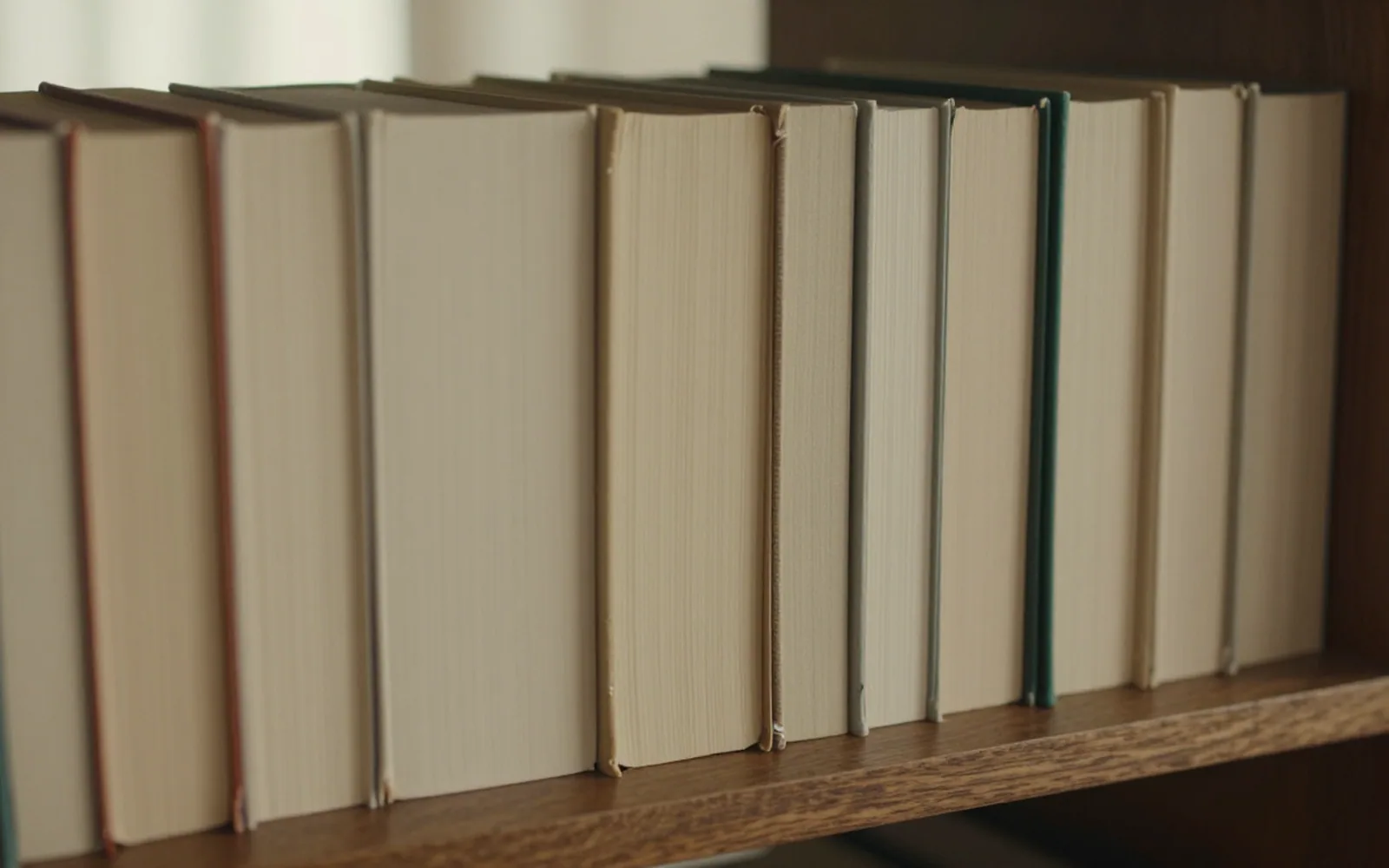 A shelf of cloth-bound hardbacks in a bookshop